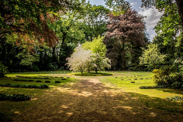La Beauté Éternelle du Jardin : Un Refuge de Sérénité et de Connexion avec la Nature